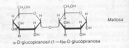 maltosa.gif (51731 bytes)